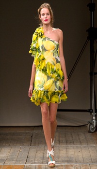 Celine at Moschino Cheap & Chic Spring/Summer 2011